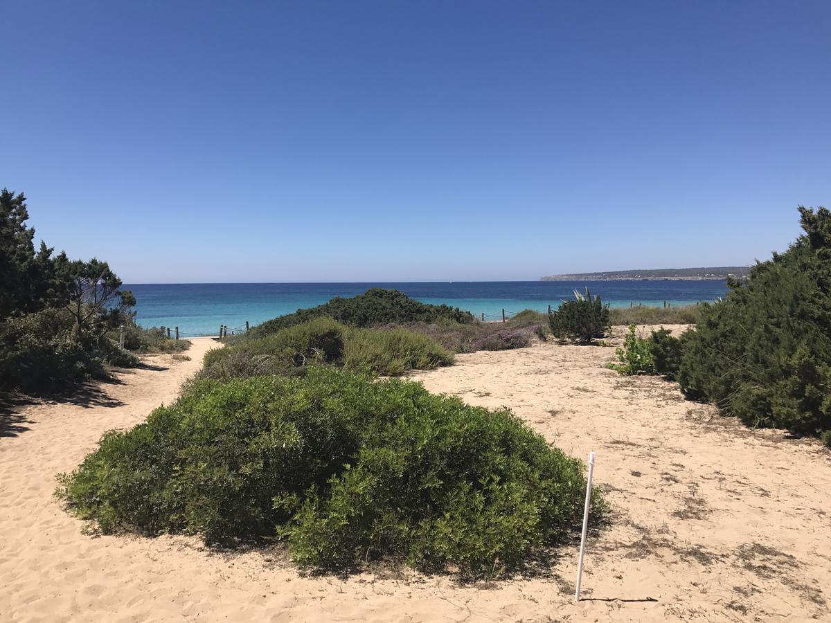 Talaya Formentera Apartamento